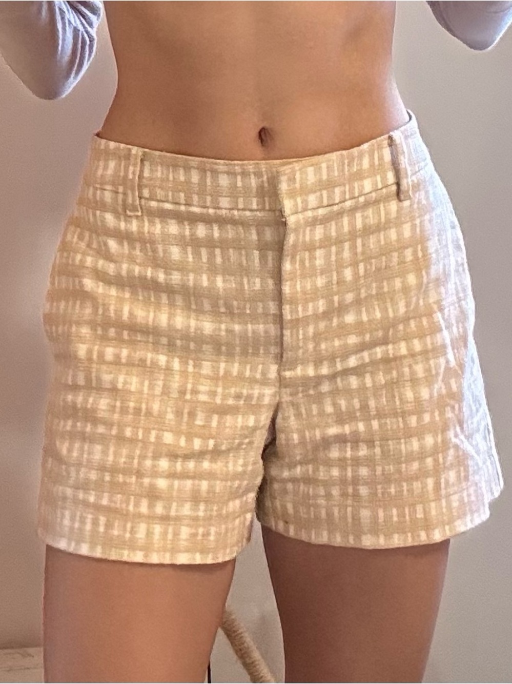 Ann Taylor Cross-Hatch Shorts